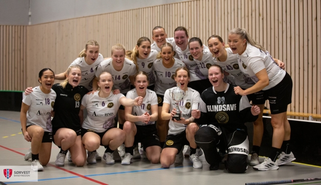 Elitelaget vårt søker hovedtrener